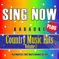 Sing Now Karaoke - I Can't Stop Loving You (Demonstration Track) artwork