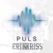 Puls - Erik og Kriss lyrics