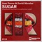 Sugar (Lander B Remix) - Jose Ponce & David Morales (Spain) lyrics