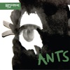Ants - Single artwork