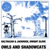 Owls and Shadowcats