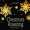 Pointer Sisters - Christmas In New York