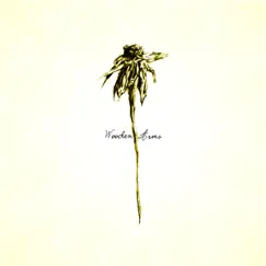 Wooden Arms by Patrick Watson album reviews, ratings, credits