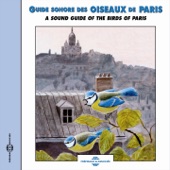 Guide sonore des oiseaux de Paris (A Sound Guide of the Birds of Paris) artwork