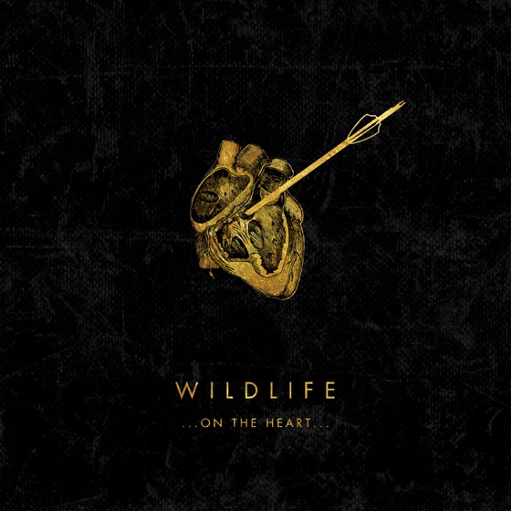 Cover artwork for Bonnie