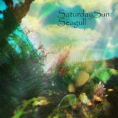 Saturday Sun - Seagull