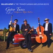Gilles Apap & the Transylvanian Mountain Boys - Manoir De Mes Reves