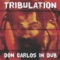 Rub a Dub - Don Carlos In Dub lyrics