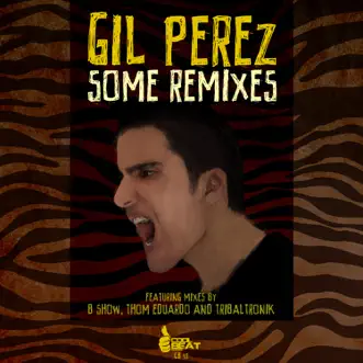 Guerreiro (Tribaltronik Remix) by Gil Perez & Silvio Luz song reviws