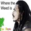 Where the Weed is - Single