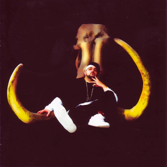 Cover artwork for Beirut