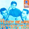 The Teddy Bears - To know him is to love him