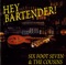 Hey Bartender artwork