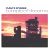 Temple of Dreams (Remixes)