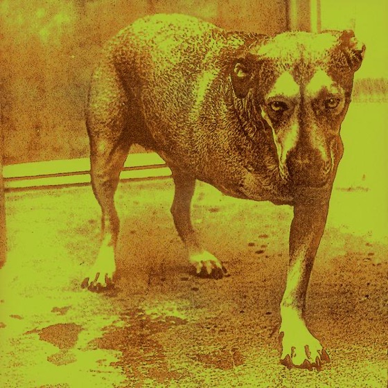 Cover artwork for So Close