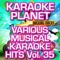 Various Musical Karaoke Hits, Vol. 35 (Karaoke Planet) ジャケット写真