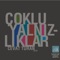 Ay Bizim Olmalı (feat. Bülent Cenkci) - Cevat Turan lyrics