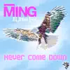 Never Come Down (Remixes) [feat. Little Fix] album lyrics, reviews, download