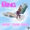 Never Come Down (Remixes) [feat. Little Fix]