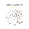 Somersault - Sky Larkin lyrics