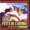 Sons Da Amazônia: Festa de Carimbó