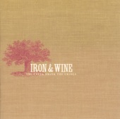 Iron & Wine - Faded from the Winter