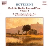 Capriccio Di Bravura for Double Bass & Piano artwork