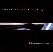 Smart Brown Handbag - The Best Part