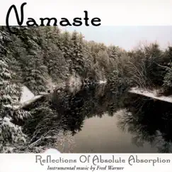 Reflections of Absolute Absorption by Namaste album reviews, ratings, credits