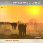 Impressions of Africa, Vol.2 artwork