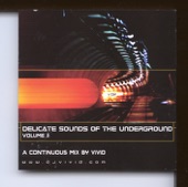 Delicate Sounds of the Underground, Vol.2