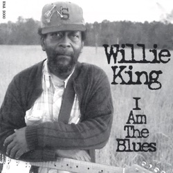 Willie King - Shake It