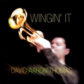 David Aaron Thomas - Wingin' It