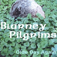 Olde Day Again by Blarney Pilgrims on Apple Music