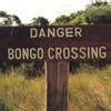 Danger Bongo Crossing