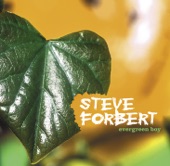 Steve Forbert - Now You Come Back