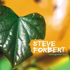 Evergreen Boy - Steve Forbert
