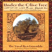 Under the Olive Tree (feat. Najwa Gibran) artwork