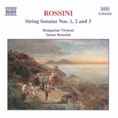 String Sonata No. 1 in G Major, I. Moderato artwork