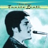 Fausto Leali - Io Camminero'