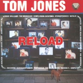 Tom Jones - Burning Down the House
