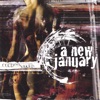 A New January