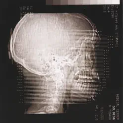 Pragmatics - Cranium Pragmatics - Cranium