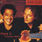 Para Ti - Flamenco Nuevo - Tierra Negra