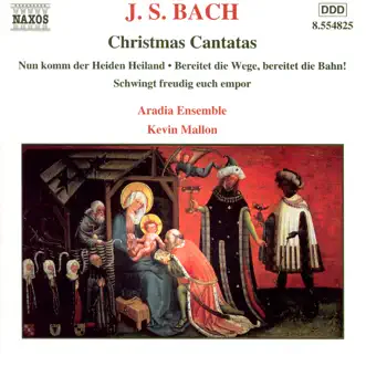 Nun komm, der Heiden Heiland, BWV 61: Recitativo - Der Heiland, Ist Gekommen by Aradia Ensemble, Christopher Dawes & Kevin Mallon song reviws