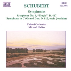 F. Schubert - Symphony No. 4 In C Minor, D. 417, "Tragic": II. Andante