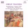 Waltz from Sleeping Beauty, Op. 66 song lyrics