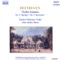 Violin Sonata No. 5 in F Major, Op. 24 'Spring': I. Allegro artwork