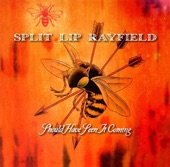 Should Have Seen It Coming