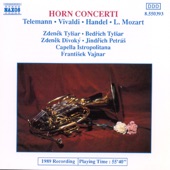 Concerto for 2 Horns in F Major, RV 539: Allegro artwork